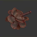 Natural Pine Cone Decorative Accessory For Daily Life Supplies And Home Use