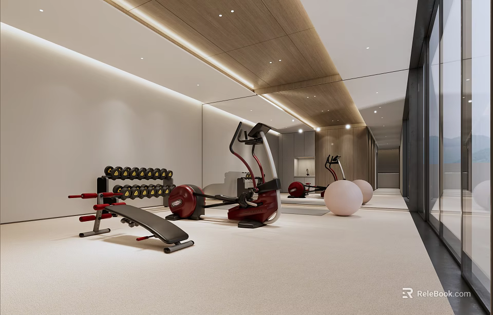 Modern Entertainment Room Featuring Fitness Equipment Dumbbells Exercise Balls And Large Windows 3d model 