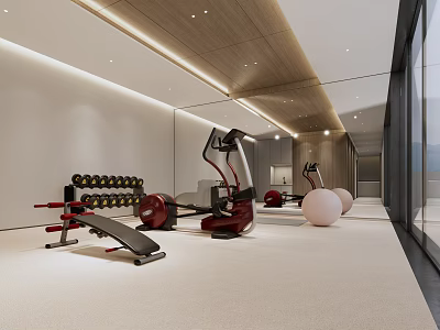 Modern Entertainment Room Featuring Fitness Equipment Dumbbells Exercise Balls And Large Windows 3d model