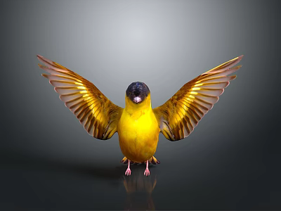 Yellow Bird With Black Head Spread Wings On Reflective Surface Against Gray Gradient Background 3d model