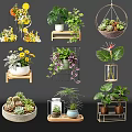 Vase Flowers Hanging Shelf Ceramic Metal Glass Containers Succulents Green Plants Yellow Blooms Decor