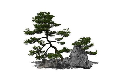 Modern landscape sketch rockery stone dry landscape courtyard landscape pine outdoor plants Zen landscape 3d model