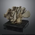 Coral Shaped Sculpture Placed on Black Base for Decorative Art