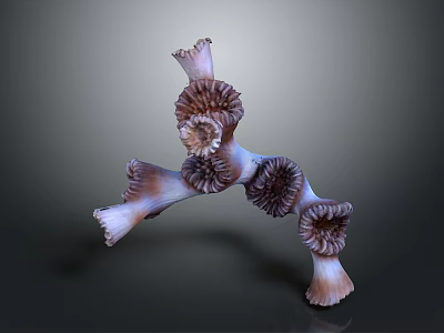 Branching Purple And White Coral As Aquatic Animal Marine Decorative Structure 3d model