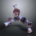 Branching Purple And White Coral As Aquatic Animal Marine Decorative Structure