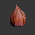 Red Lantern Shaped Edible Fruit With Textured Skin On Dark Background