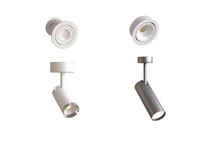 Modern Style Downlights And Spotlights In White And Gray For Home Lighting 3d model