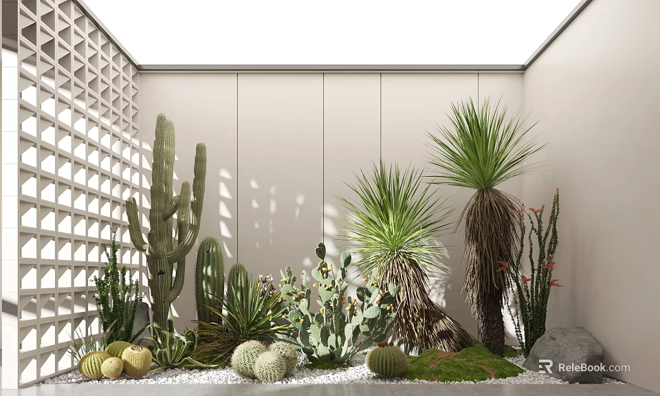 Indoor Cacti And Succulents Garden With White Walls Lattice Decoration Pebbles And Moss 3d model 