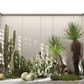 Indoor Cacti And Succulents Garden With White Walls Lattice Decoration Pebbles And Moss