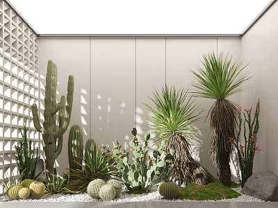 Indoor Cacti And Succulents Garden With White Walls Lattice Decoration Pebbles And Moss 3d model