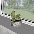 Cactus Potted Plant In Gray White Pot On White Windowsill With Green View