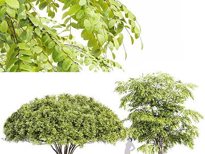 Modern Trees 3d model