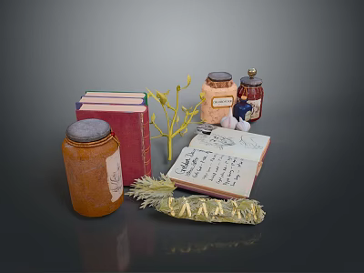 Daily Life Items With Books Jars Open Notebook Feather And Small Plant 3d model