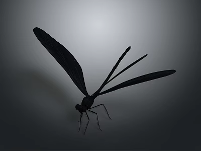 Black Dragonfly With Slender Body And Spread Wings On Gray Background With Soft Light 3d model