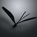 Black Dragonfly With Slender Body And Spread Wings On Gray Background With Soft Light