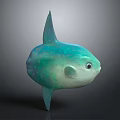 3D Designed Turquoise Fish Character With Plump Body Large Eyes And Shiny Fins