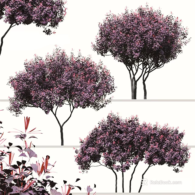 Arbor Trees With Purple Leaves And Lush Foliage In Garden Landscape 3d model 