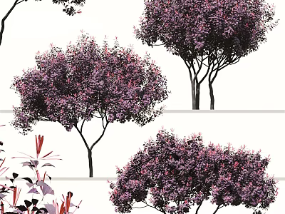 Arbor Trees With Purple Leaves And Lush Foliage In Garden Landscape 3d model