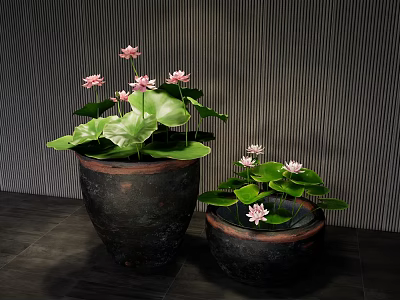 Beautiful Lotus Flowers With Leaves In Dark Clay Pots Against Vertical Striped Wall 3d model