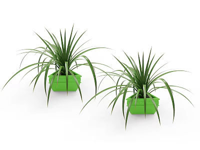 Two Bonsai Potted Plants with Green Planters and Long Slender Leaves 3d model