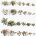 Various Garden Shrubs with Different Sizes and Foliage Types for Landscaping Projects 3d model
