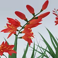 mars flower SU model vray 3d model