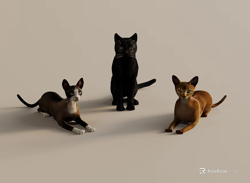 Three Cats Black Brown And Orange Standing And Lying On Light Background 3d model 