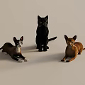 Three Cats Black Brown And Orange Standing And Lying On Light Background 3d model