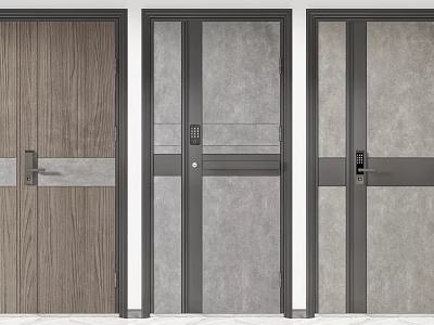 Modern Swing Doors With Wooden Panel Gray Surface And Metal Frame Design 3d model