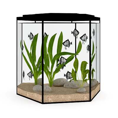 Beautiful Fish Aquarium Setup With Lush Aquatic Plants Sand And Stones 3d model Beautiful Fish Aquarium Setup With Lush Aquatic Plants Sand And Stones 3d model