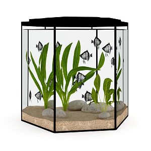 Fish tank 3d model