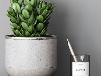 Desk with Green Succulent Plant in Gray Concrete Pot Pen and Lavender Scented Candle 3d model