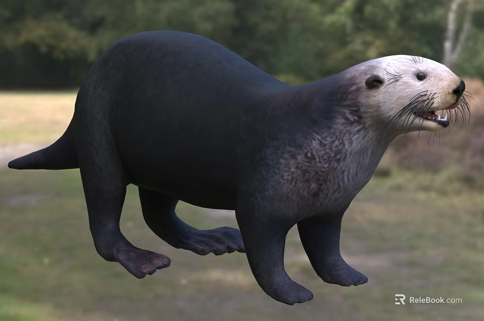 Otter With Black Body And White Head Standing In Natural Grassland Environment 3d model 