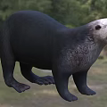 Otter With Black Body And White Head Standing In Natural Grassland Environment