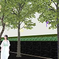 Garden Night Decor With Illuminated Trees And Hanging Round Lights