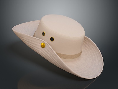 Modern Hat Women's Hat Sun Hat Fashion Hat 3d model