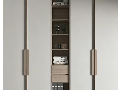 Modern Wardrobe Interior With Open Shelving Books Decorative Items And Drawer 3d model
