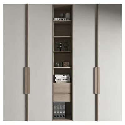 Modern Wardrobe Interior With Open Shelving Books Decorative Items And Drawer 3d model