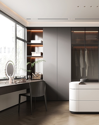 Light Luxury Cloakroom 3d model