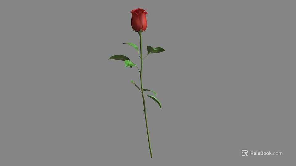Beautiful Red Rose With Green Stem And Leaves On Gray Background 3d model 