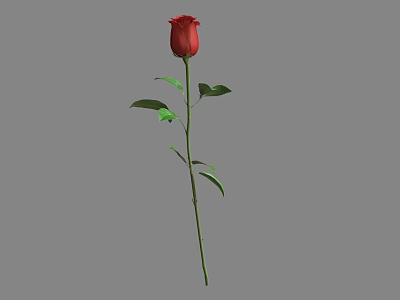 Beautiful Red Rose With Green Stem And Leaves On Gray Background 3d model