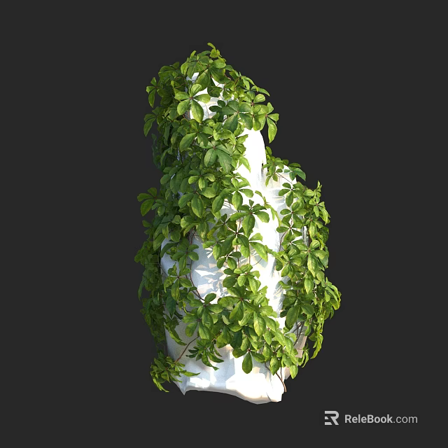 Natural Decorative Lush Green Vine With Dense Leaves Wrapping White Column 3d model 
