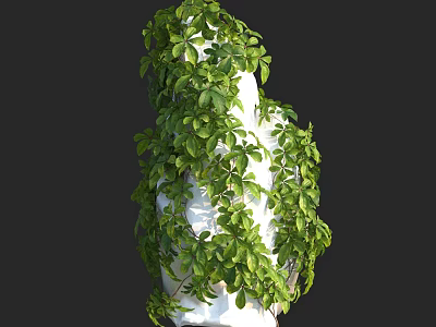Natural Decorative Lush Green Vine With Dense Leaves Wrapping White Column 3d model