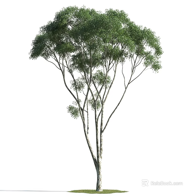 Lush Green Arbor Featuring Thick Trunk Spreading Branches and Vibrant Foliage 3d model 
