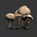 Brown Mushroom Plants with Caps and Stems on Dark Base and Background