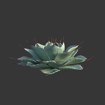 Modern Agave Artichoke Agave Meaty 3d model