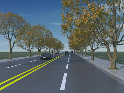 Municipal Road With Two Way Lanes Yellow Lines Trees And Cars On Clear Day 3d model