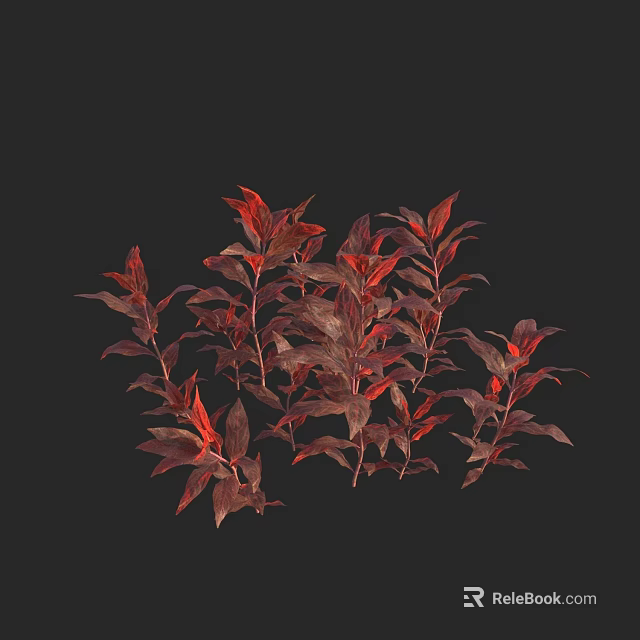 Red And Purple Leaf Plants With Vibrant Foliage On Black Background 3d model 