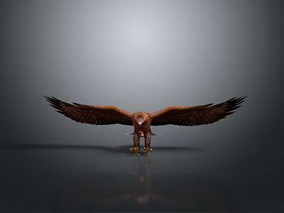 Eagle With Spread Wings Standing On Gray Gradient Background And Ground Reflection 3d model