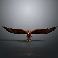Eagle With Spread Wings Standing On Gray Gradient Background And Ground Reflection